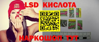 соль ск Новодвинск