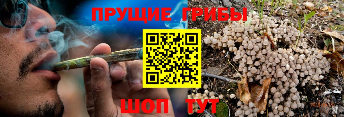 Бирск  Галлюциногенные грибы Psilocybe  Вход с VPN  Галлюциногенные грибы MAGIC MUSHROOMS 