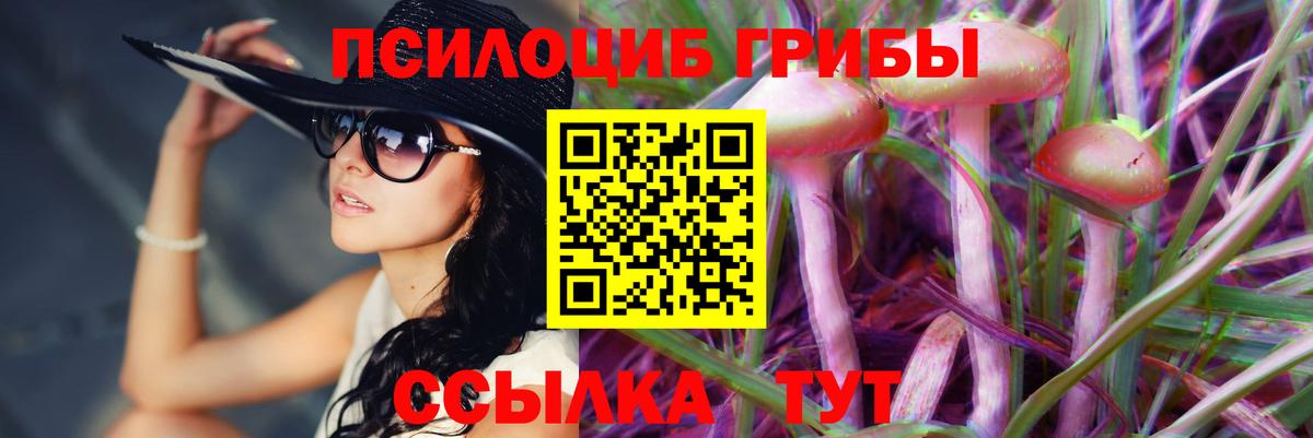 Галлюциногенные грибы Psilocybe Бирск
