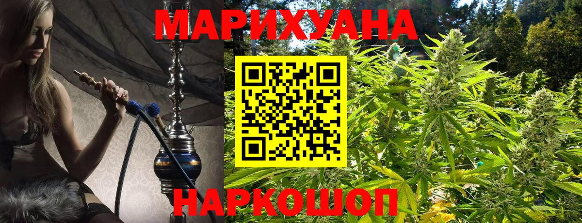 Конопля сатива Бирск